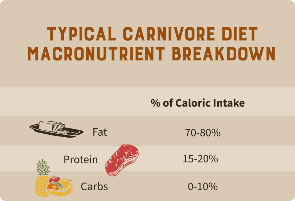 Fat breakdown on a carnivore diet 