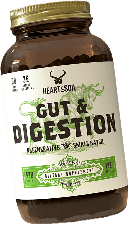 Gut and Digestion