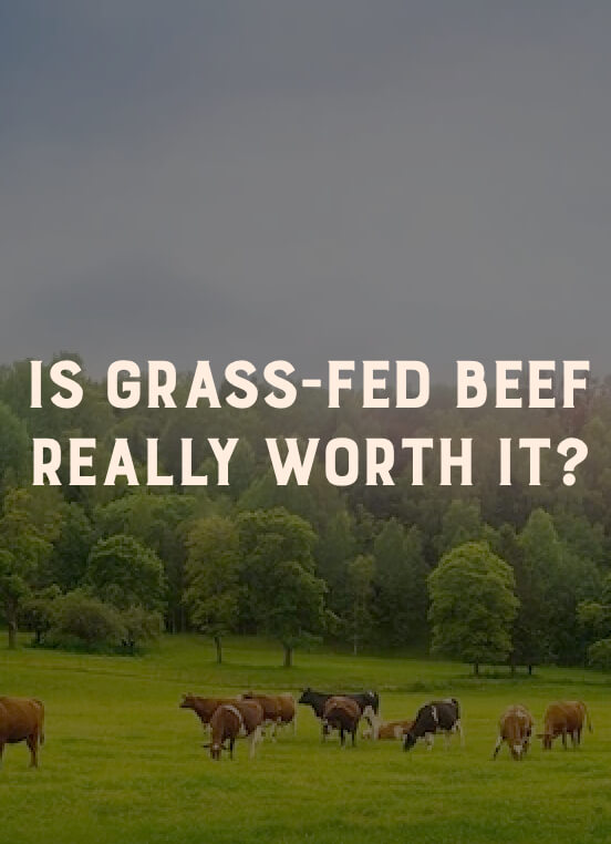 Is Grass-Fed Beef Really Worth It