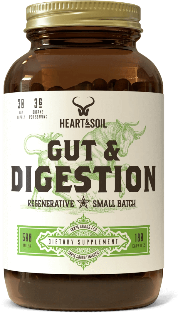 Gut & Digestion