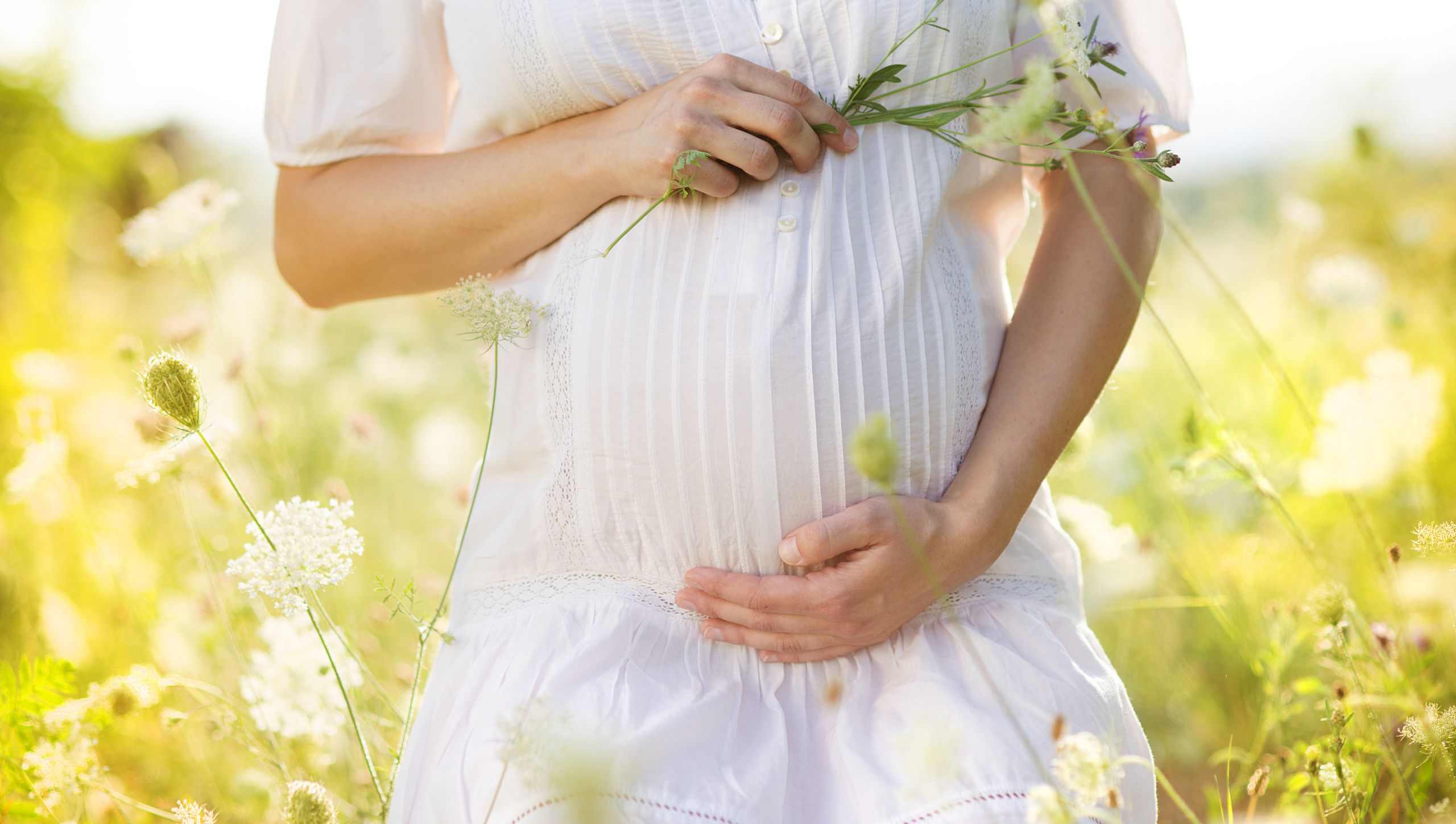 Animal-Based Fertility: The Best Fertility