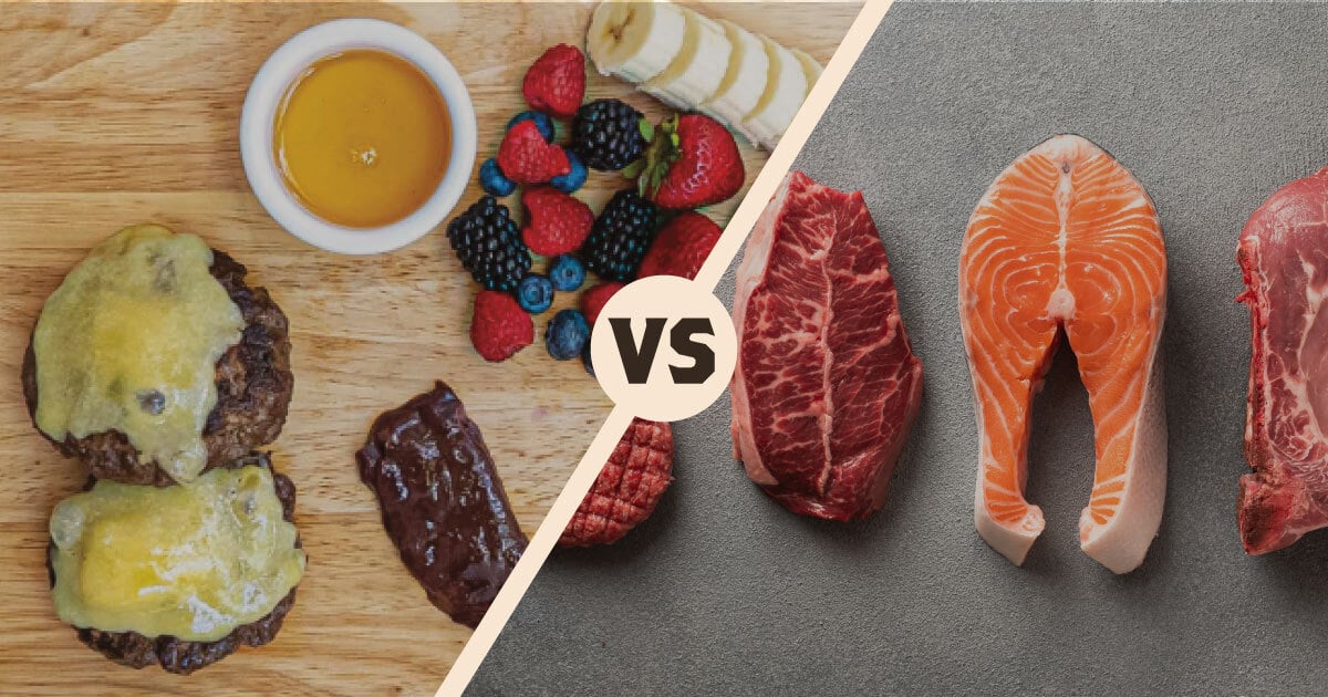 What’s the Difference Between Carnivore and Animal-Based?