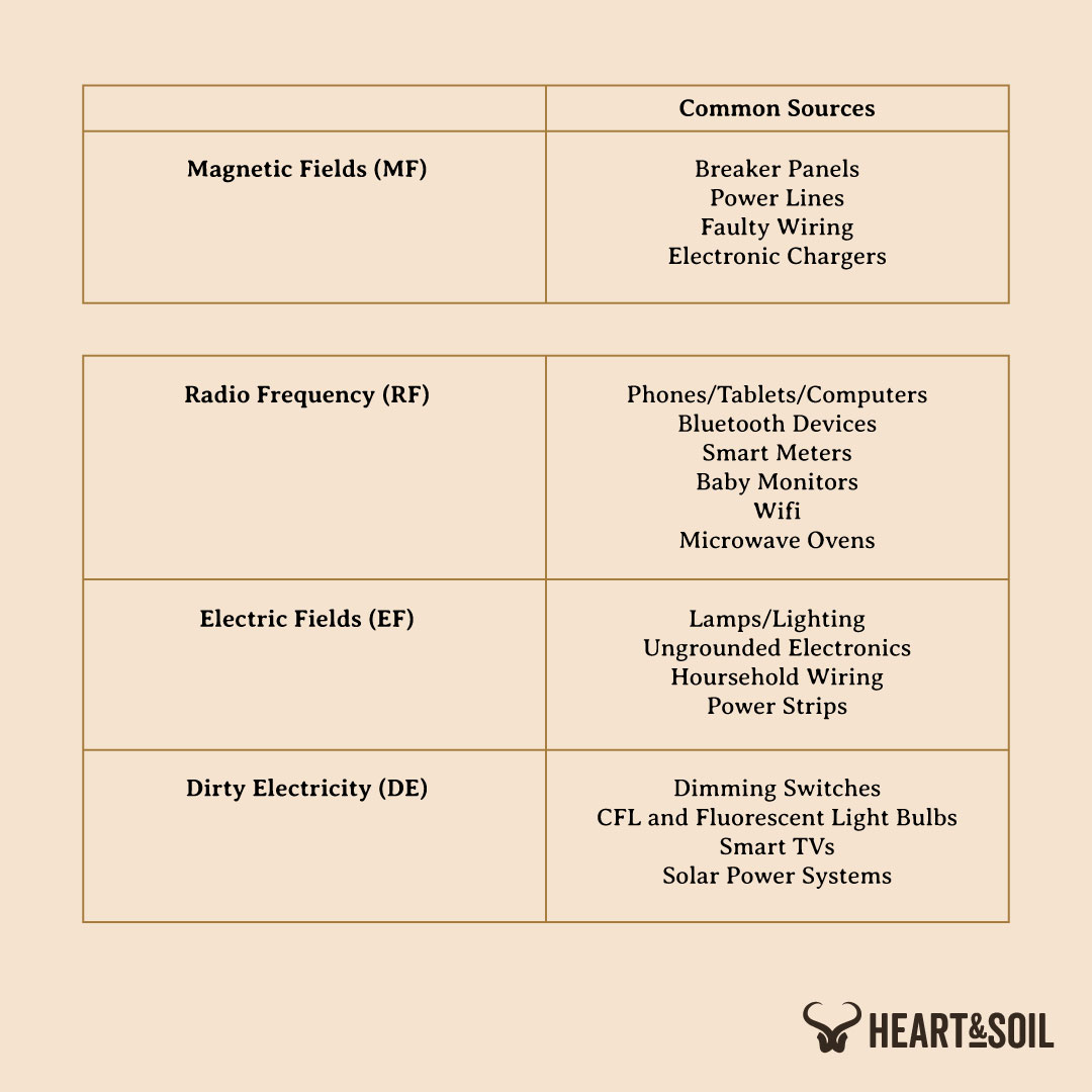 How Dangerous Are EMFs? (19 Tips to Reduce Your Exposure) Heart
