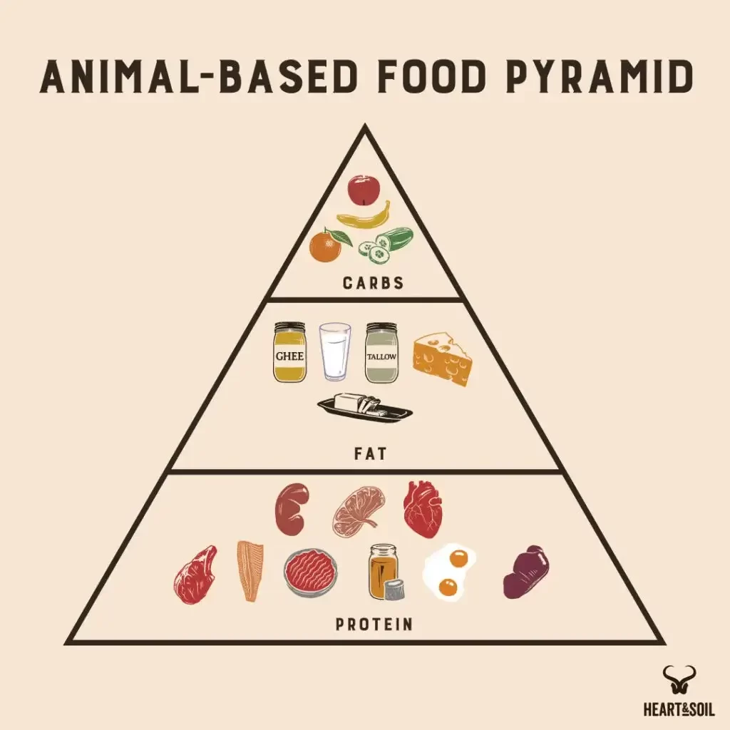 carnivore and animal-based