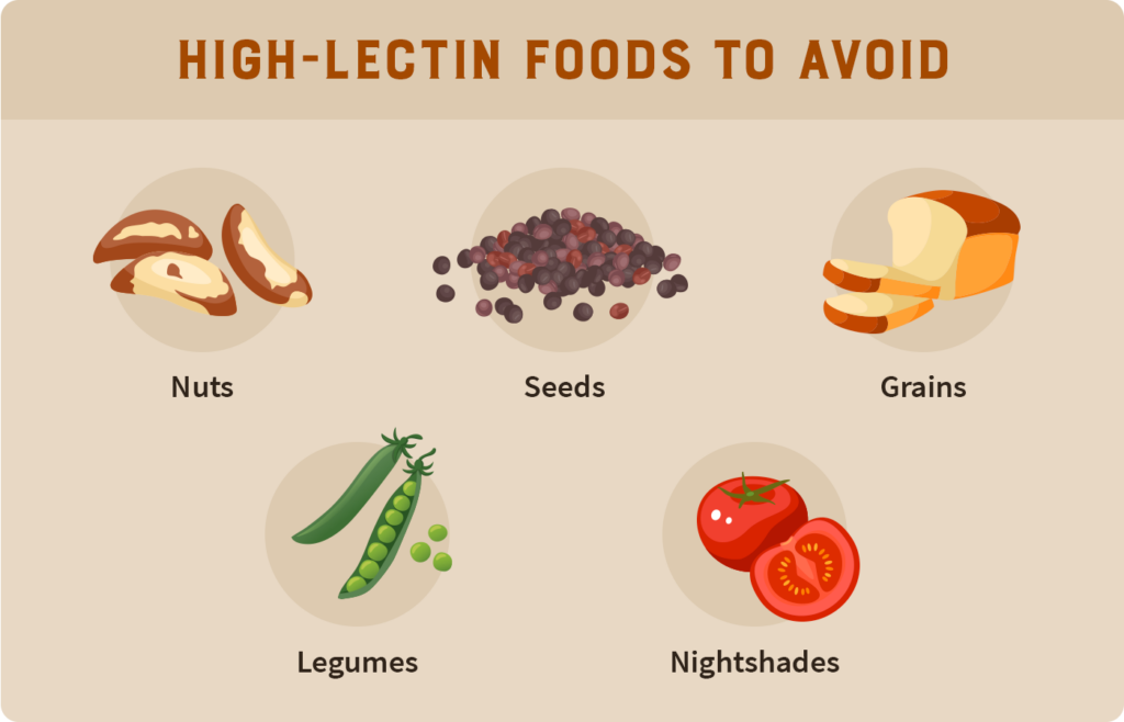 high-lectin-foods