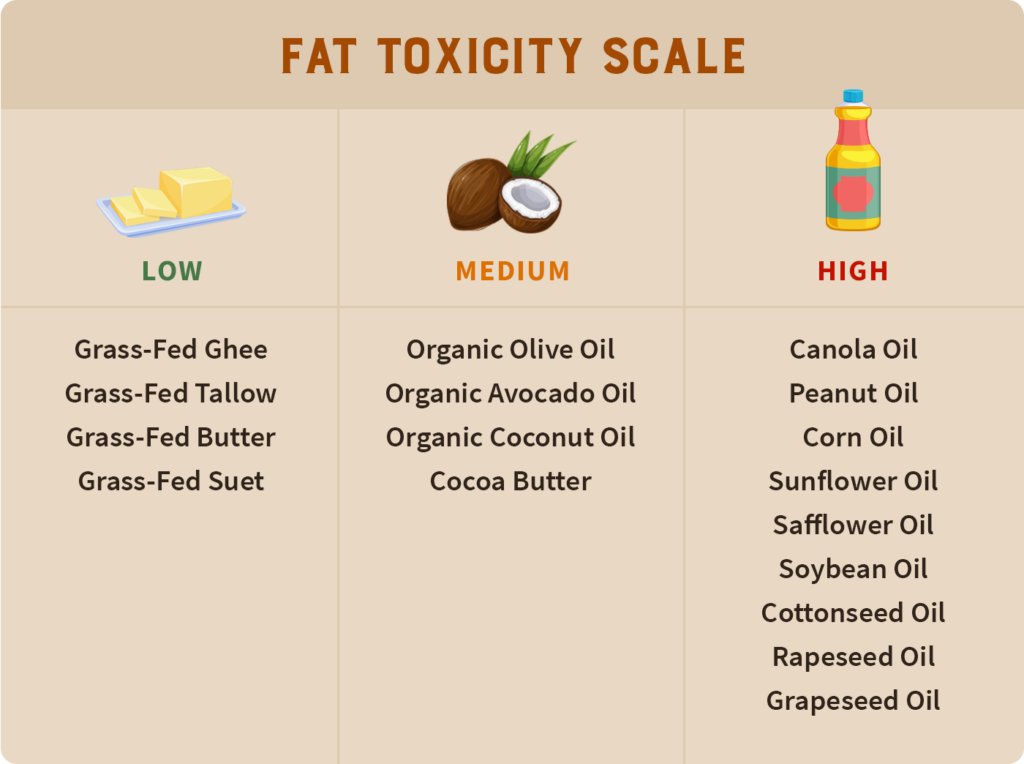 animal-based-diet-for-fat-loss-healhty-fats