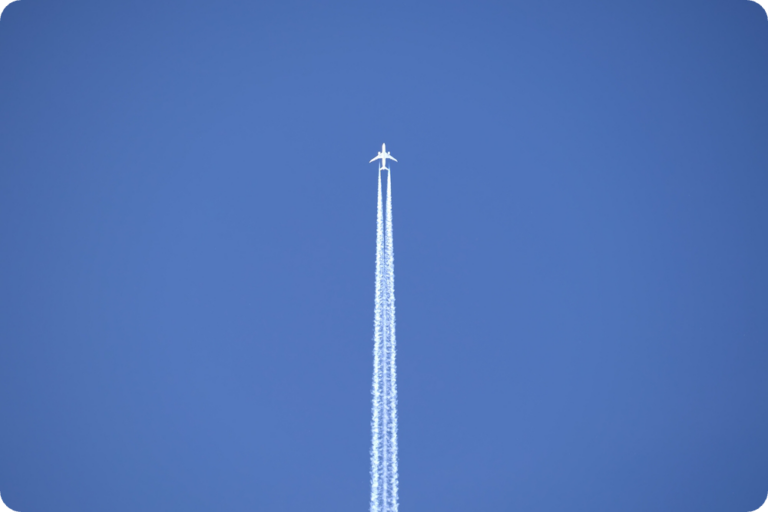 Issue #7: Animal-based in the sky