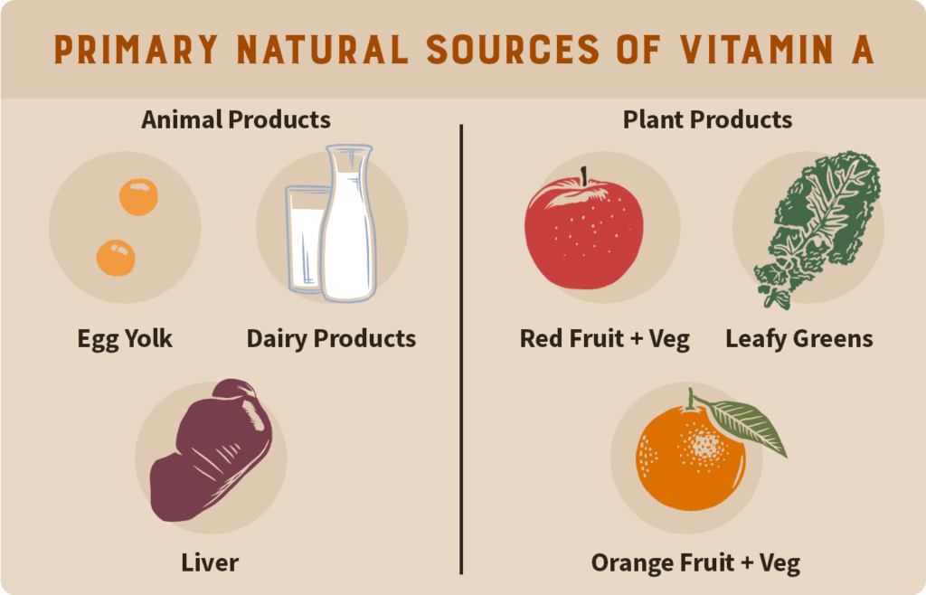 vitamin a toxicity sources
