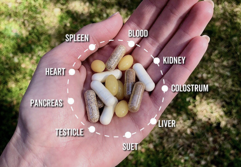 Issue #160: The forgotten science behind eating organs