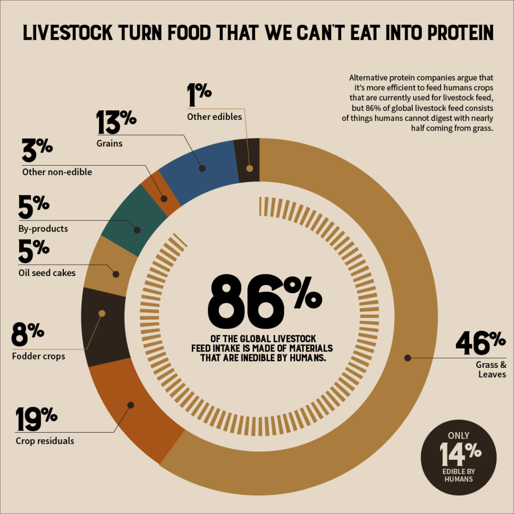 Livestock turn unusable food sources into nutrient dense meat. 