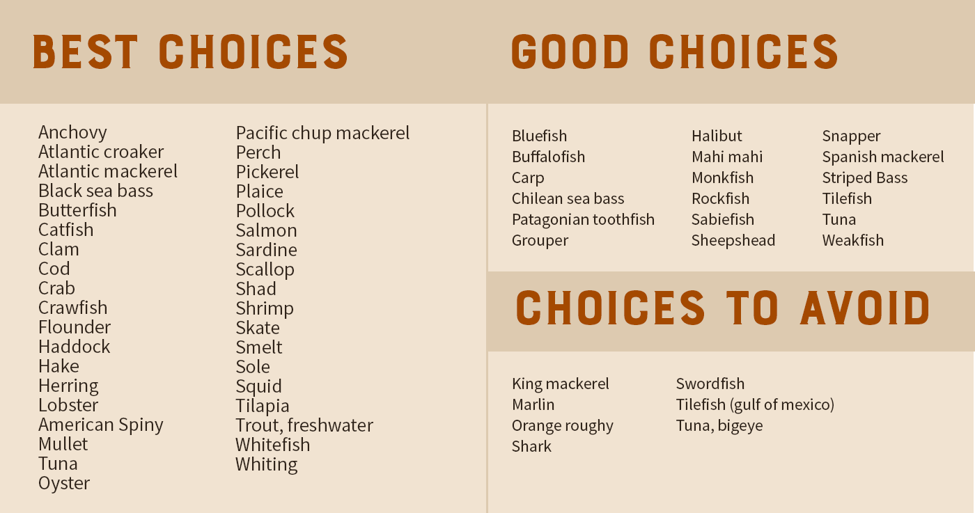 is-seafood-safe-to-eat-8-vital-issues-to-keep-in-mind