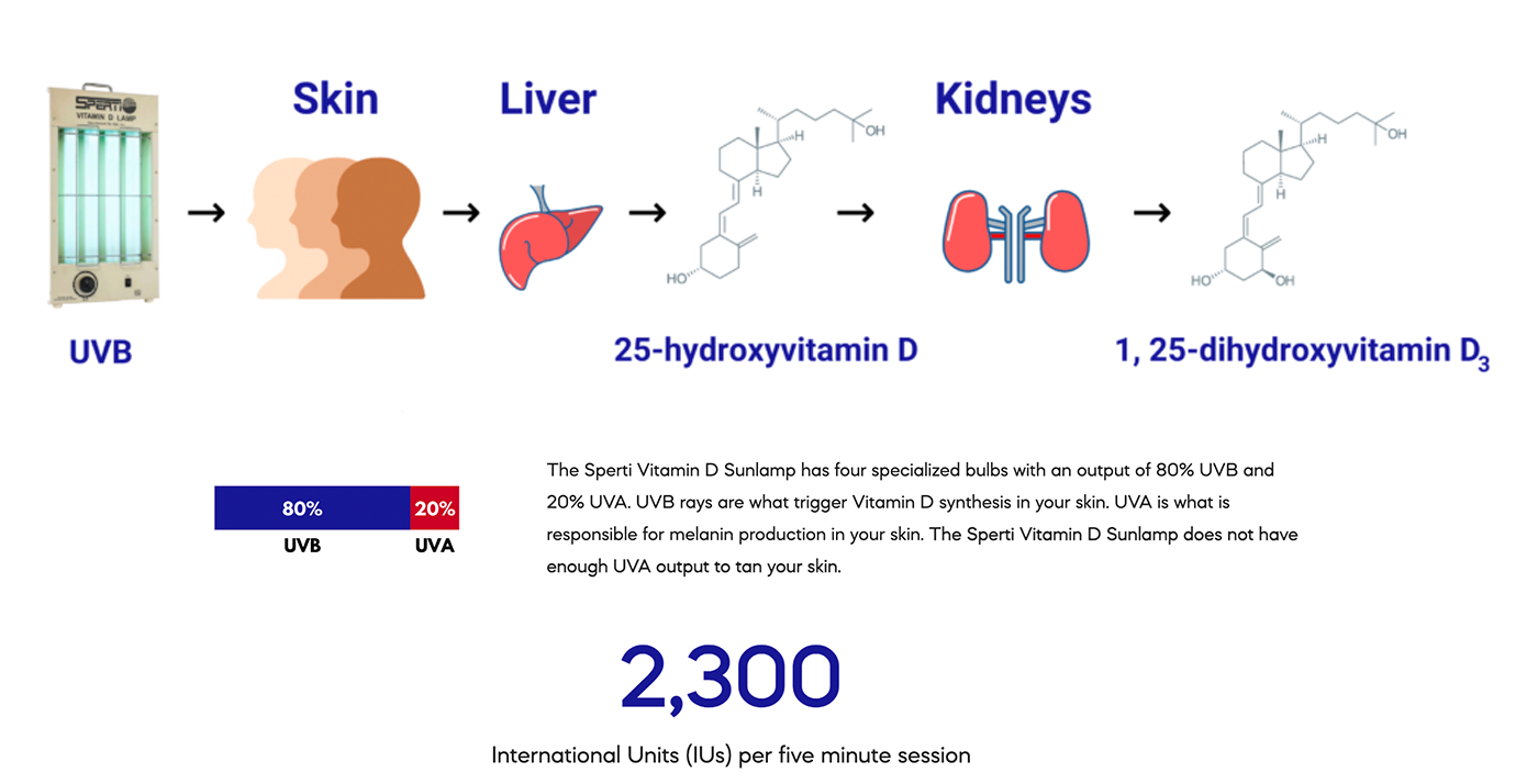 How to Get Enough Vitamin D During Winter (Why It's So Important
