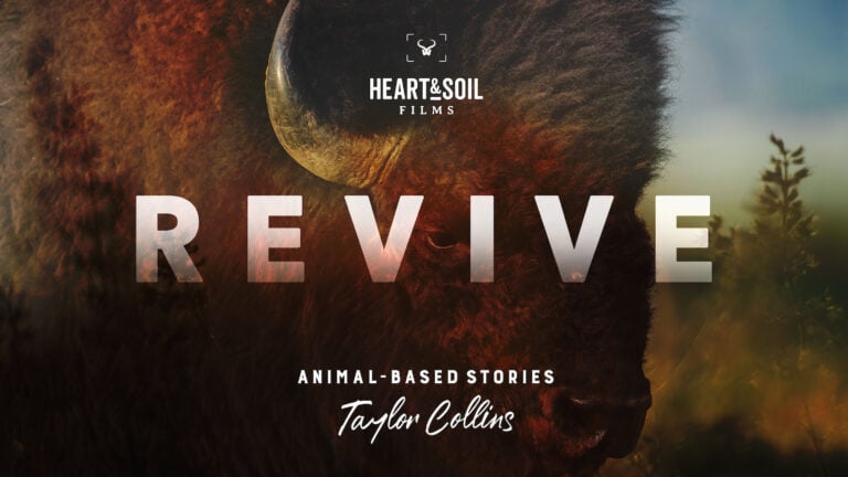 Issue #76: Radical Health Roundup: Best of 2023