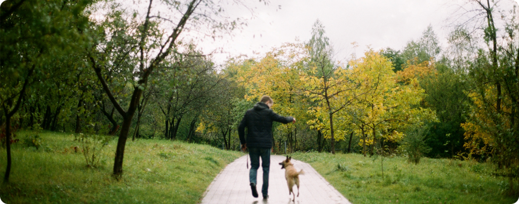 Man walking dog in the forest
