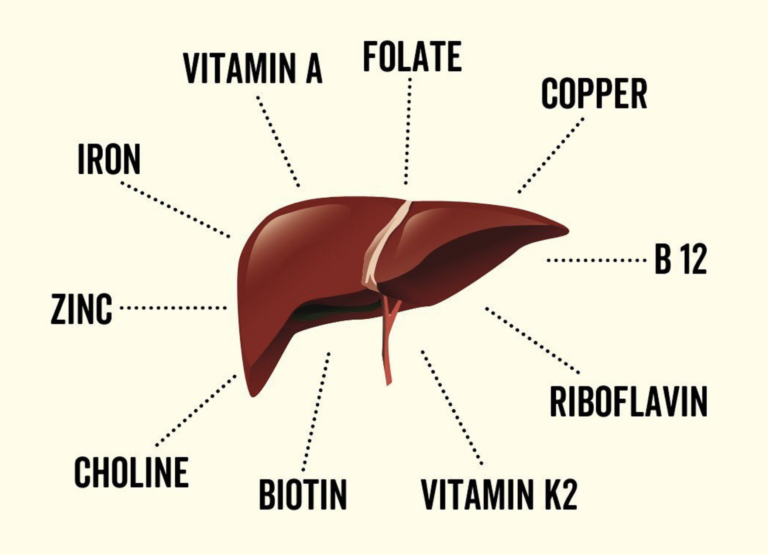 Issue #81: 3 reasons why organs are the ultimate superfood
