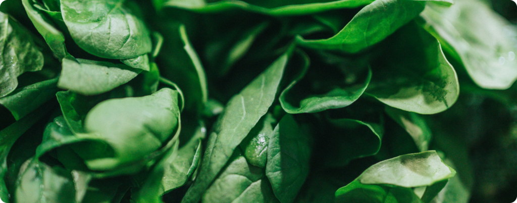 The oxalates in spinach can cause harm if over-consumed