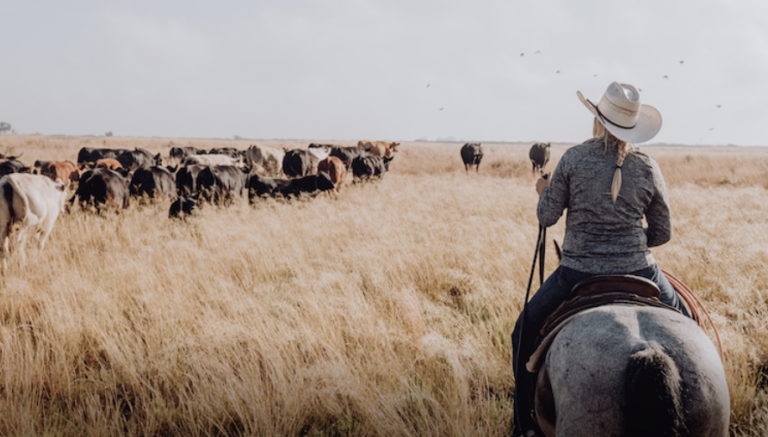 Issue #96: Beef industry in crisis (can we save our ranchers?)