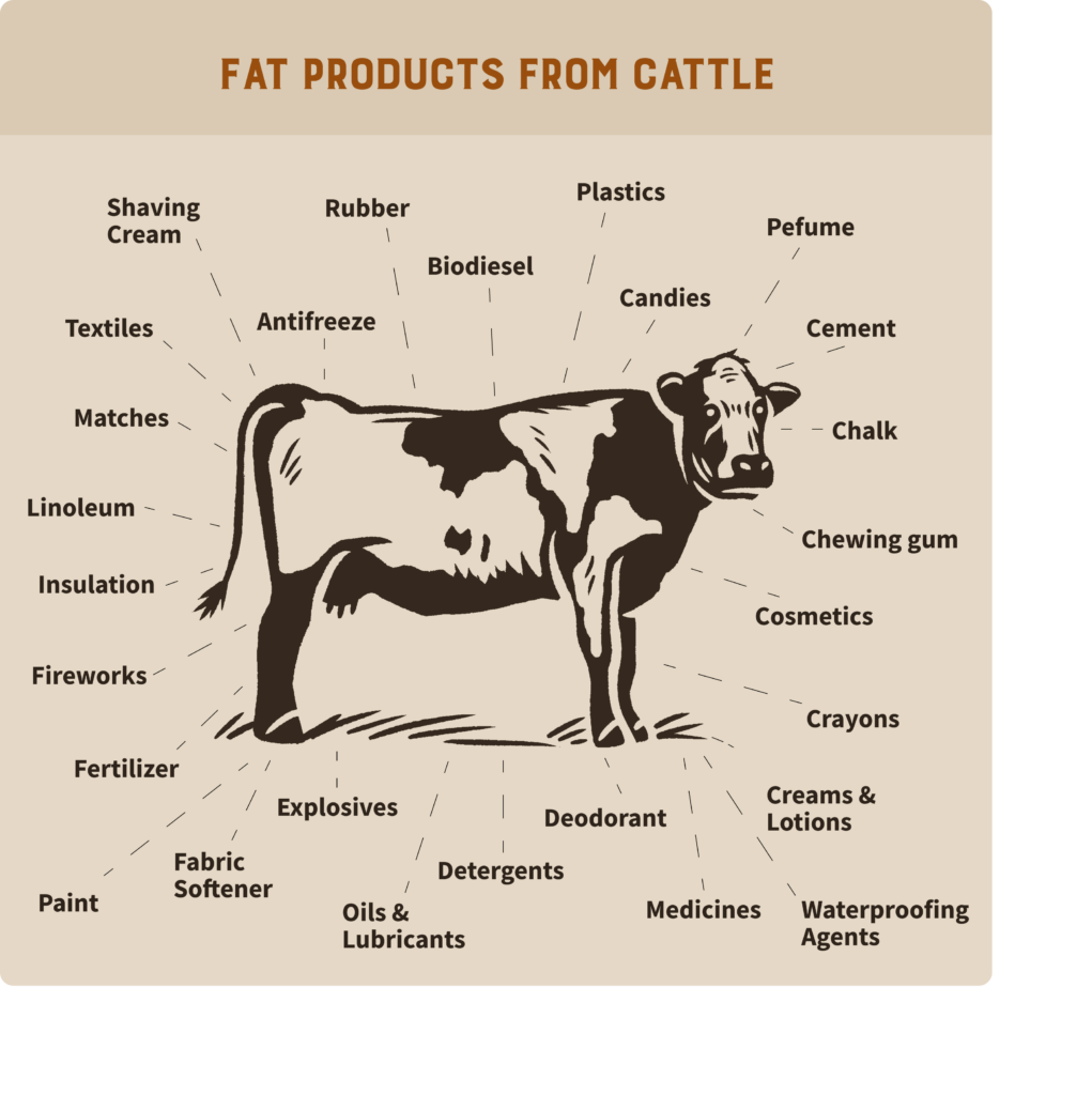 Many products can be made from beef tallow and other animal fats