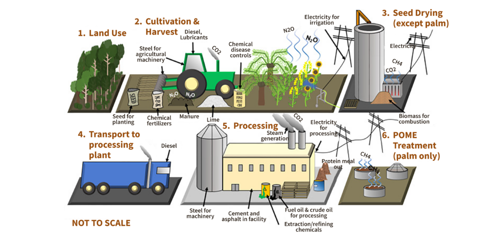 seed oils environmental impact