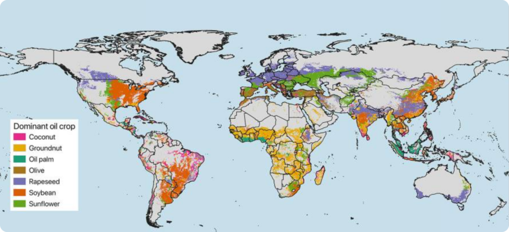 estimated global production of seed oil crops