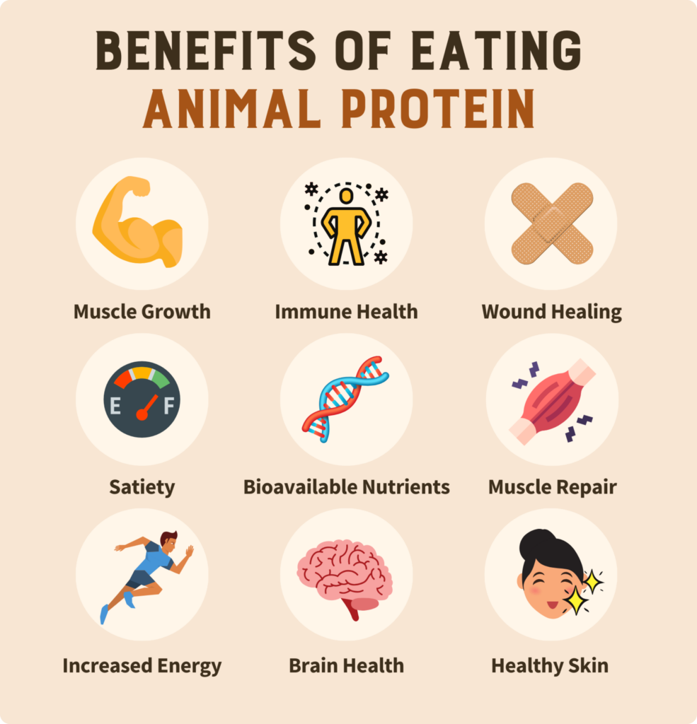 Animal Based Protein Benefits