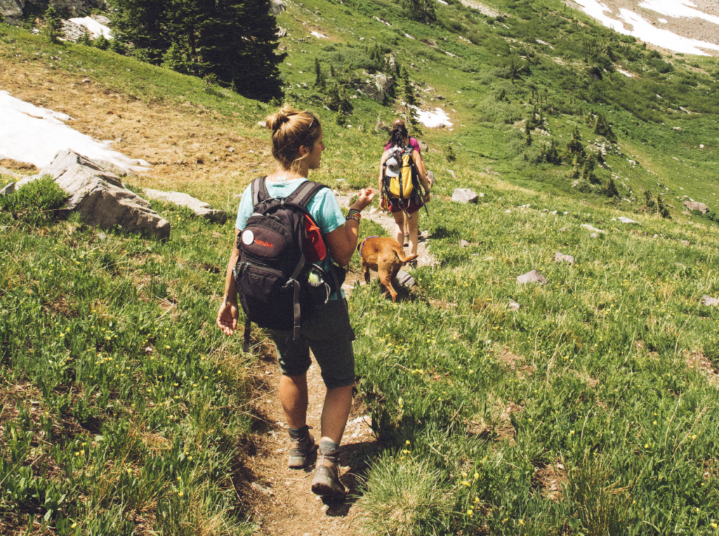 Your Seasonal Allergies and Gut Health Are Connected: Here is How | Heart & Soil Supplements