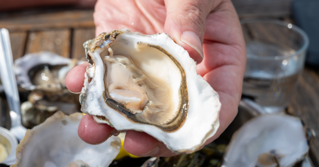 Dive into the world of oysters advantages for your health