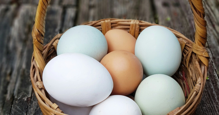 10 Health Benefits of Eggs: A True Superfood