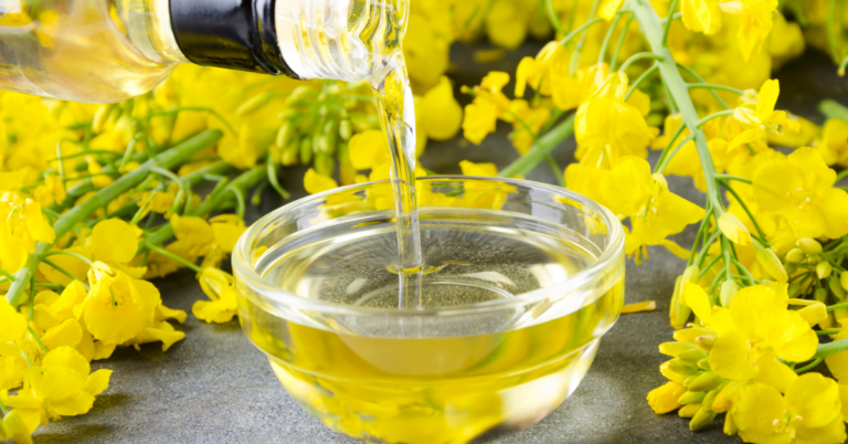 6 Canola Oil Dangers: Is It Actually Heart-Healthy?