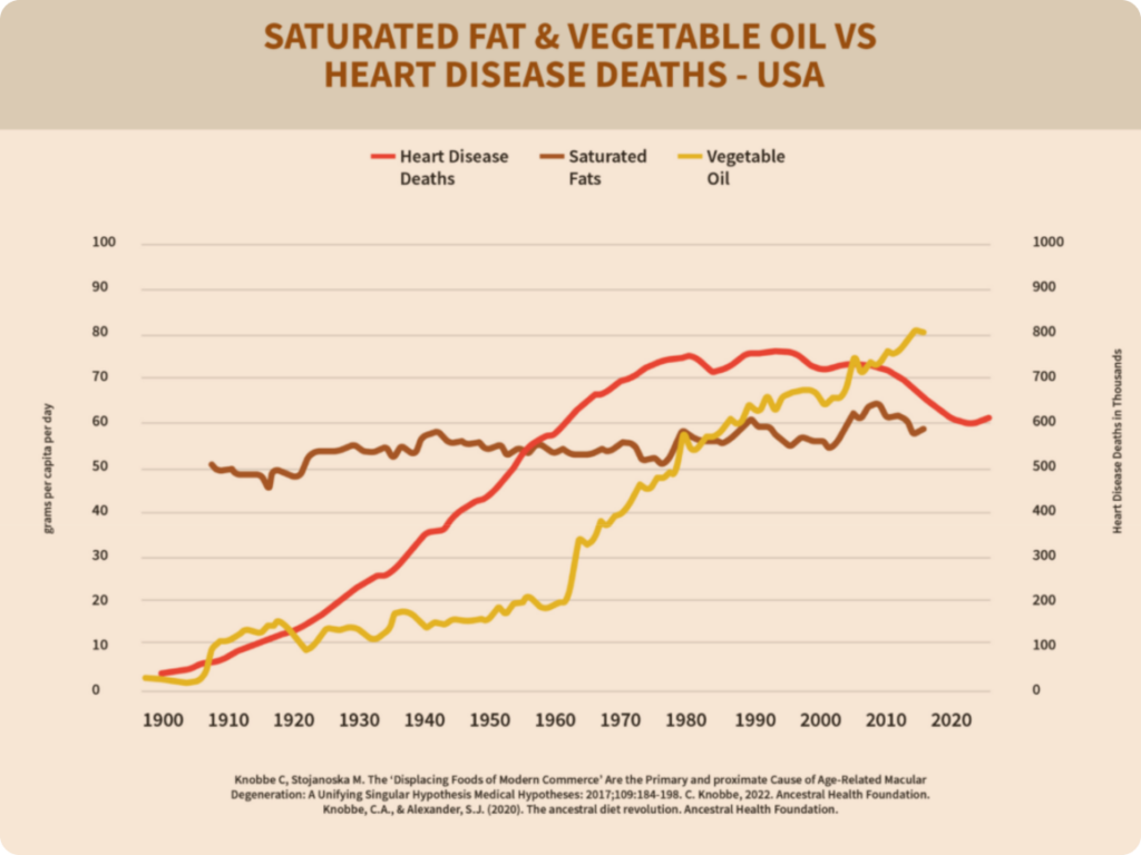 Ghee is rich in stable saturated fat, which may actually help protect against this oxidative damage, supporting rather than harming cardiovascular health.
