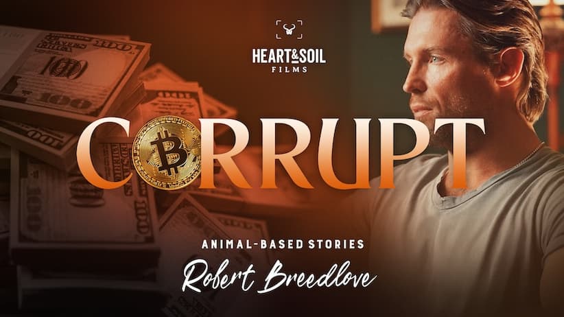Issue #148: What a free day of radical health looks like | Heart & Soil Supplements