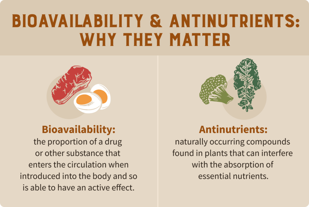 A chart showing the bioavailability of plant vs animal foods