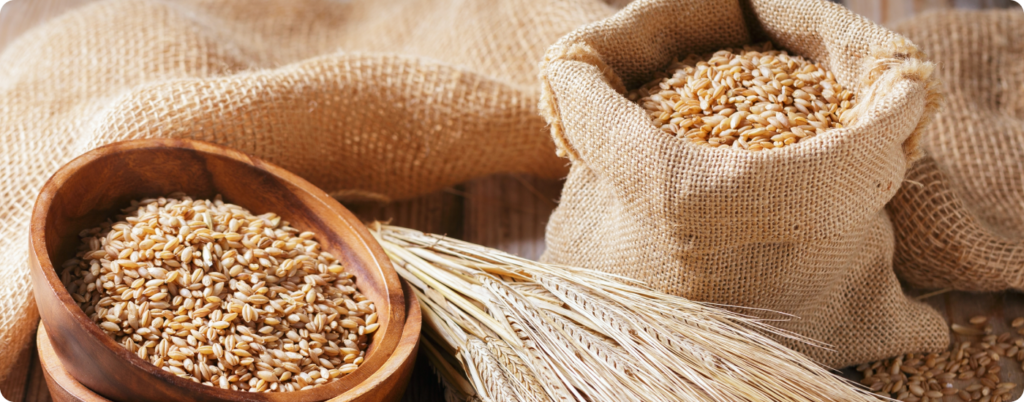 Grains are the edible seeds of certain plants. Common grains include wheat, oats, corn, barley, quinoa, buckwheat, millet, and rice.