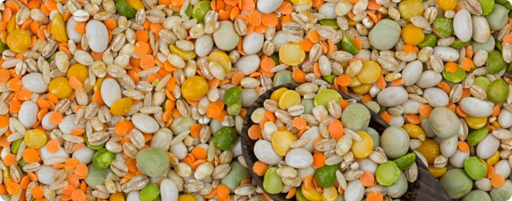 Are lectins bad for you? Lectins are carbohydrate-binding proteins found primarily in plants.