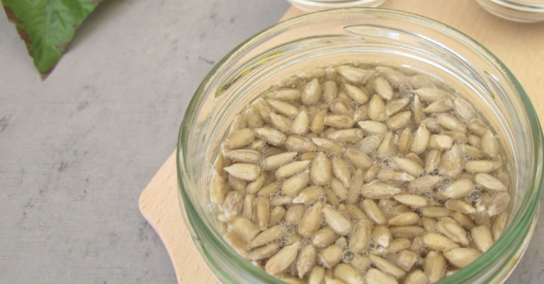 Are Lectins Bad for You?  3 Health Facts