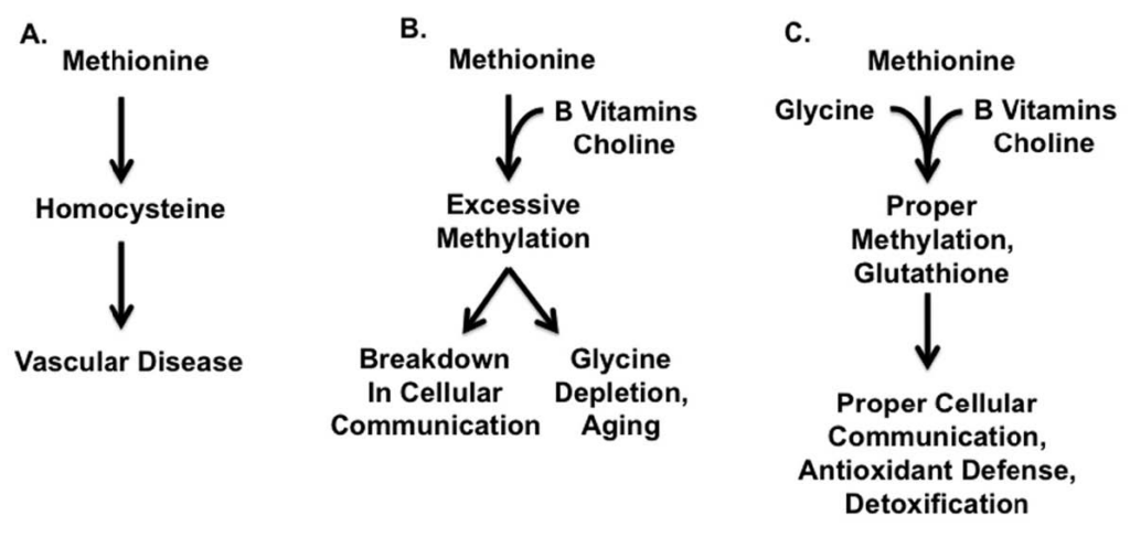 Beef Liver Supplement Benefits: Worth the Hype? | Heart & Soil Supplements