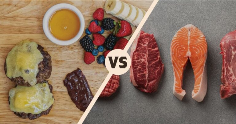 Issue #146: Carnivore vs. Animal-Based: What’s the difference?