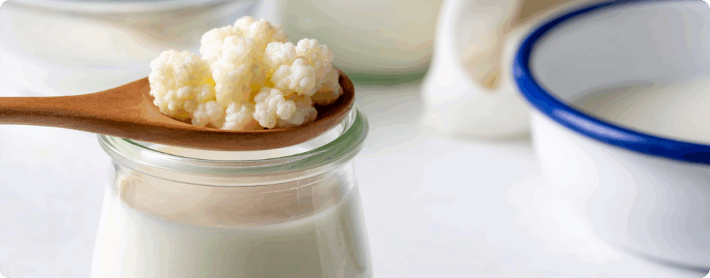Kefir grains on the table