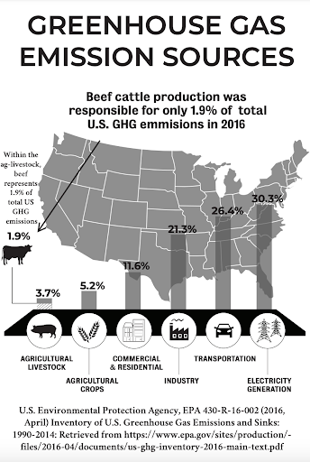 Issue #153: 4 biggest beef myths debunked | Heart & Soil Supplements