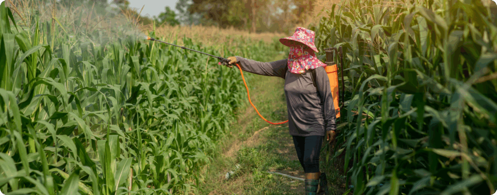 A woman spraying pesticides 