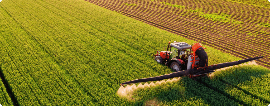 One of the dangers of eating liver is exposure to pesticides