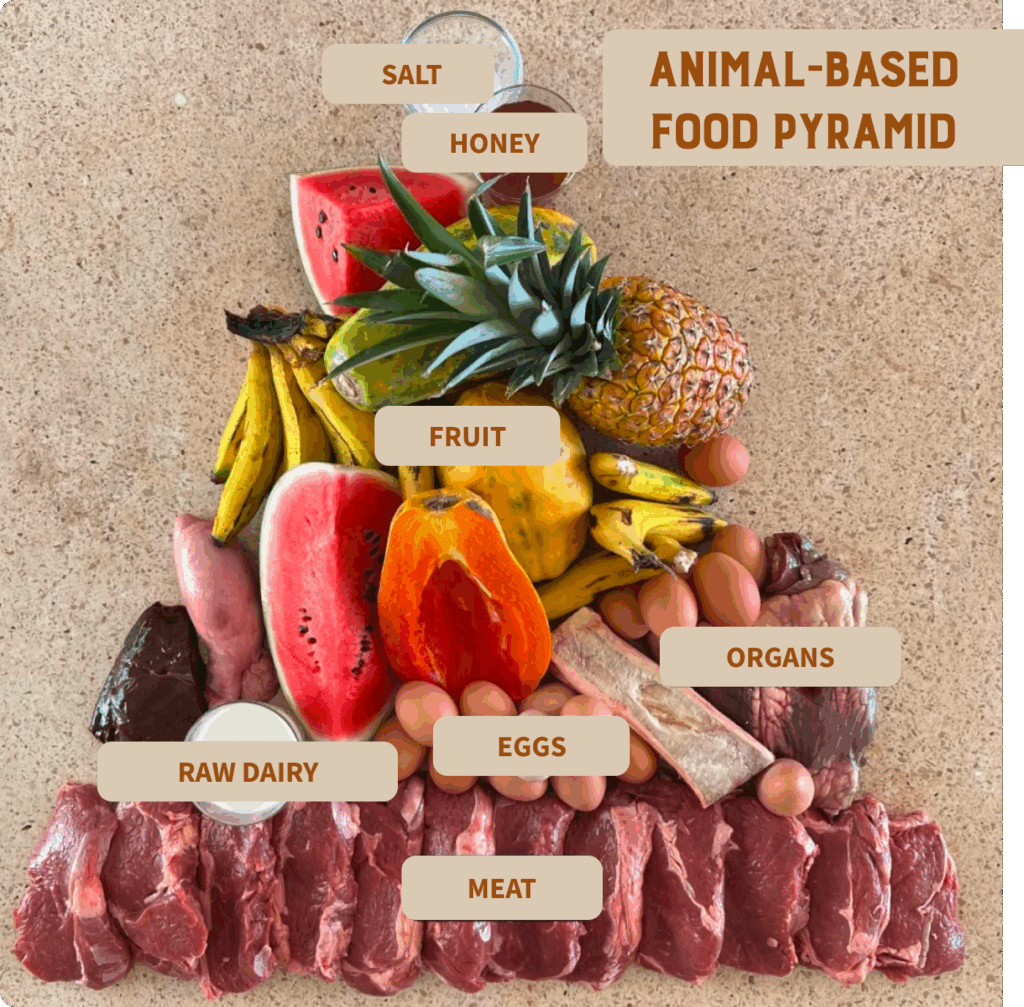 The animal-based diet food pyramid