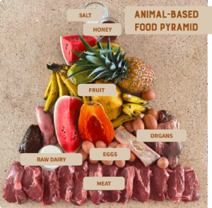The animal-based diet food pyramid