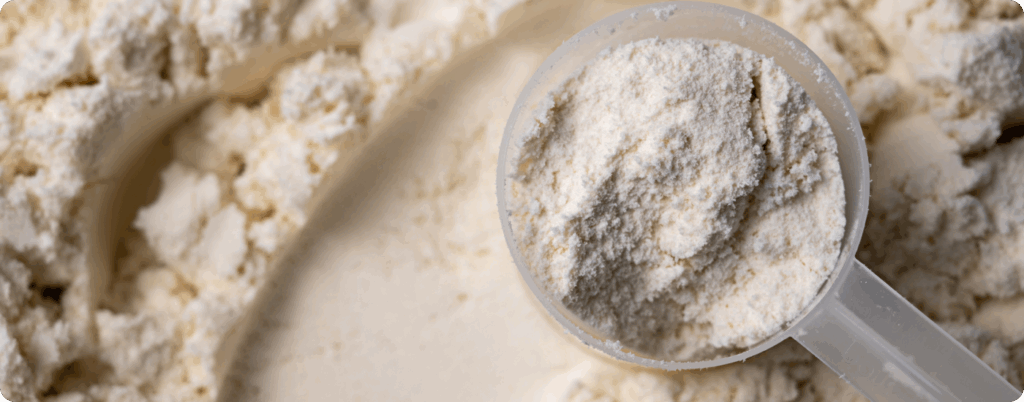 A scoop of grass-fed whey protein powder