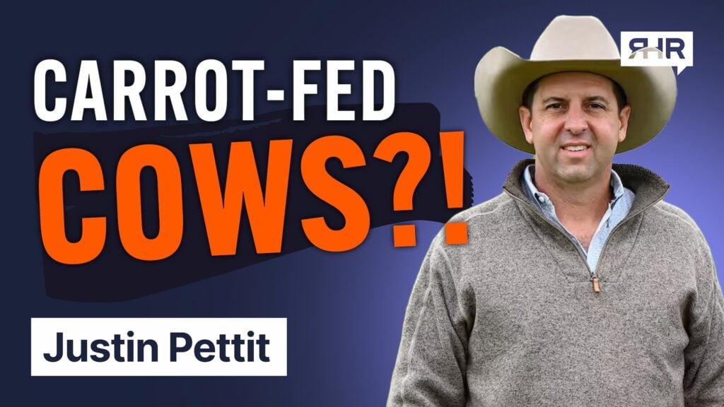 Issue #167: Your Radical Health Quiz (see how you rank) | Heart & Soil Supplements