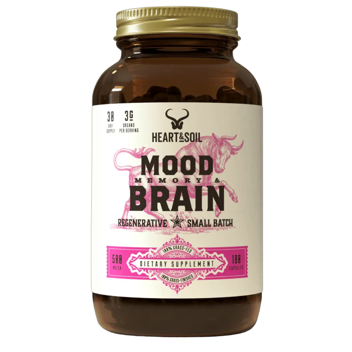 Mood, Memory & Brain