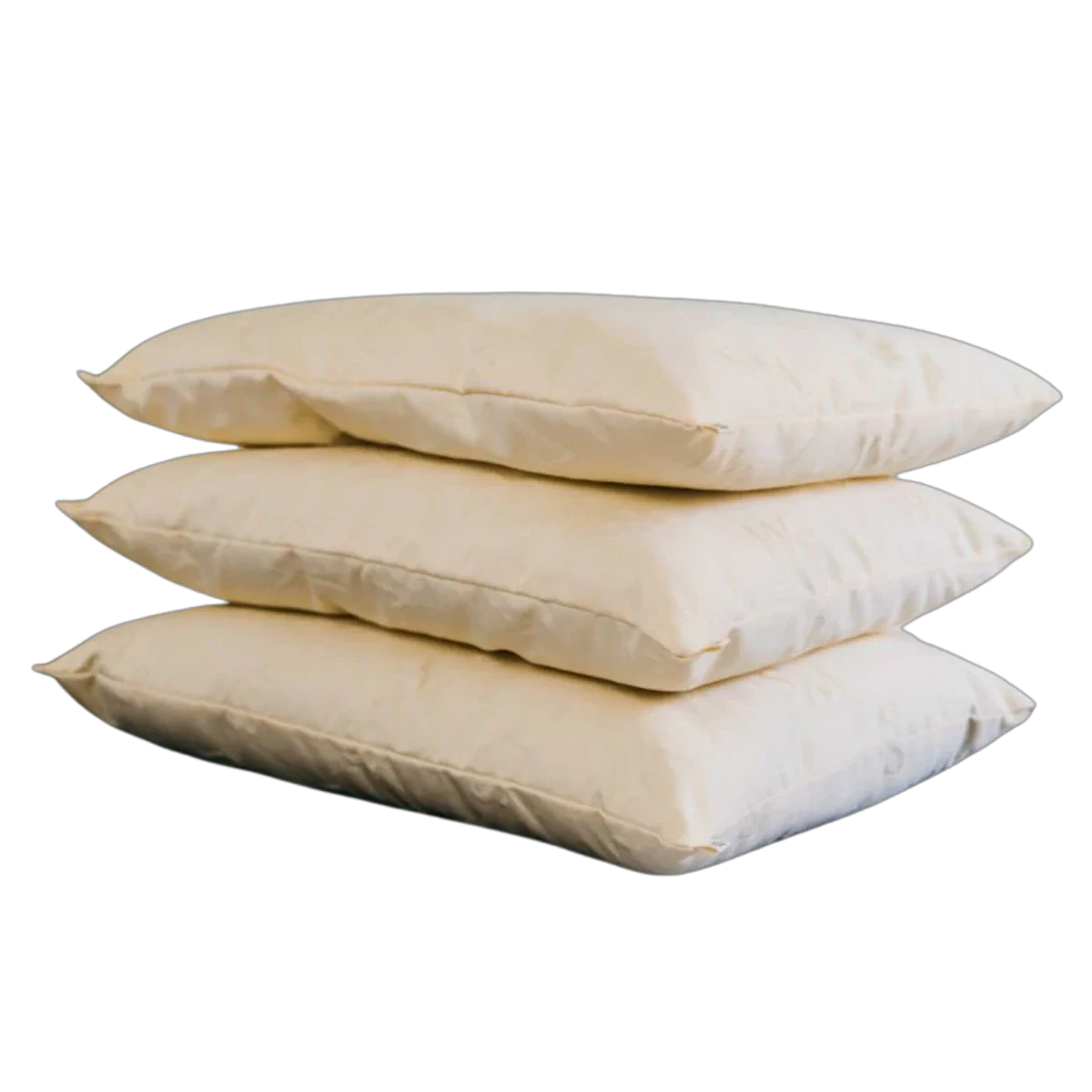 Organic Wool Pillow