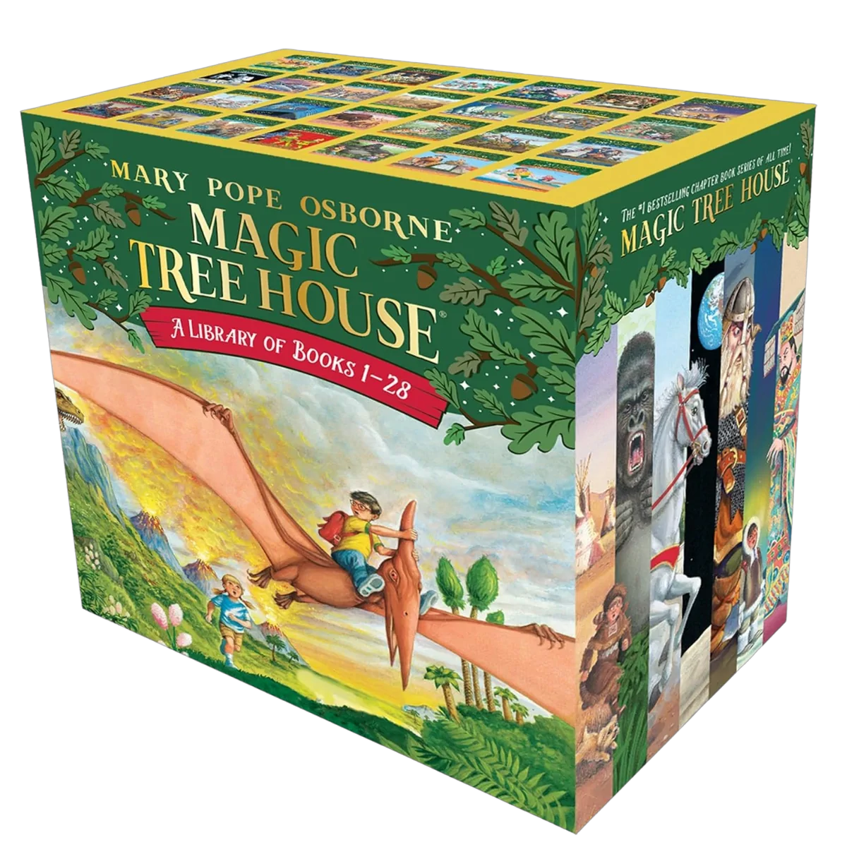 Magic Treehouse Book Set 