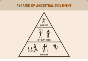 Heart & Soil Guide to Your New Year Reset | Heart & Soil Supplements