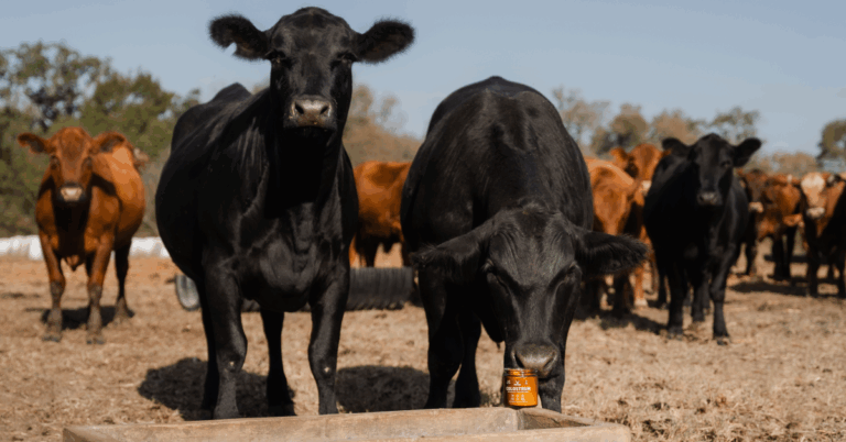 10 Powerful Benefits of Colostrum for Gut Health